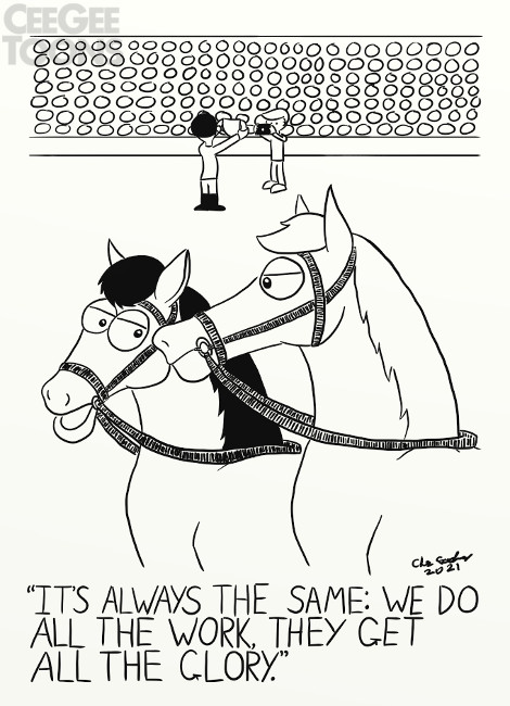 Grumpy Horses