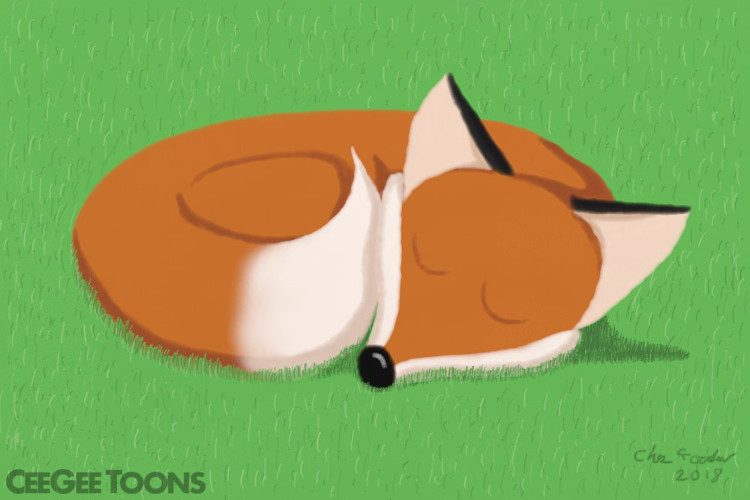 Sleepy Fox