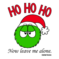 Fluffy Christmas Santa